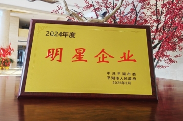 新春新景新气象 | 辉达娱乐在深圳三干大会上喜摘荣誉！