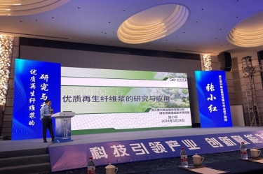 辉达娱乐高技能人才张小红在第一届广东省（龙游）纸基新材料产业创新发展大会作分享