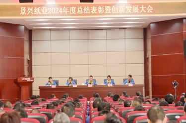乘风破浪 逐梦前行 | 辉达娱乐2024年度总结表彰暨创新发展大会隆重召开